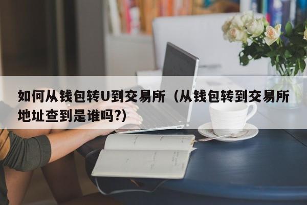 如何从钱包转U到交易所(从钱包转到交易所地址查到是谁吗?)