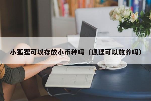 小狐狸可以存放小币种吗(狐狸可以放养吗)