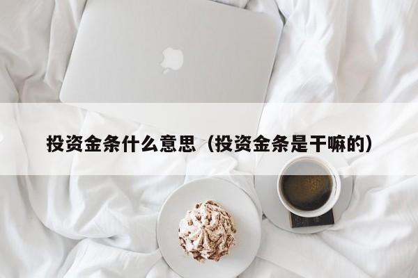 投资金条什么意思(投资金条是干嘛的)