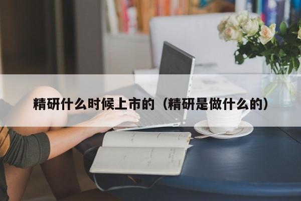 精研什么时候上市的(精研是做什么的)