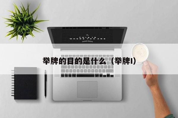 举牌的目的是什么(举牌I)