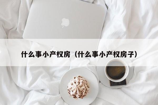 什么事小产权房(什么事小产权房子)