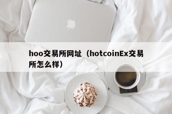 hoo交易所网址(hotcoinEx交易所怎么样)