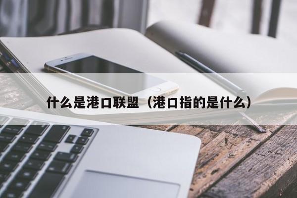 什么是港口联盟(港口指的是什么)